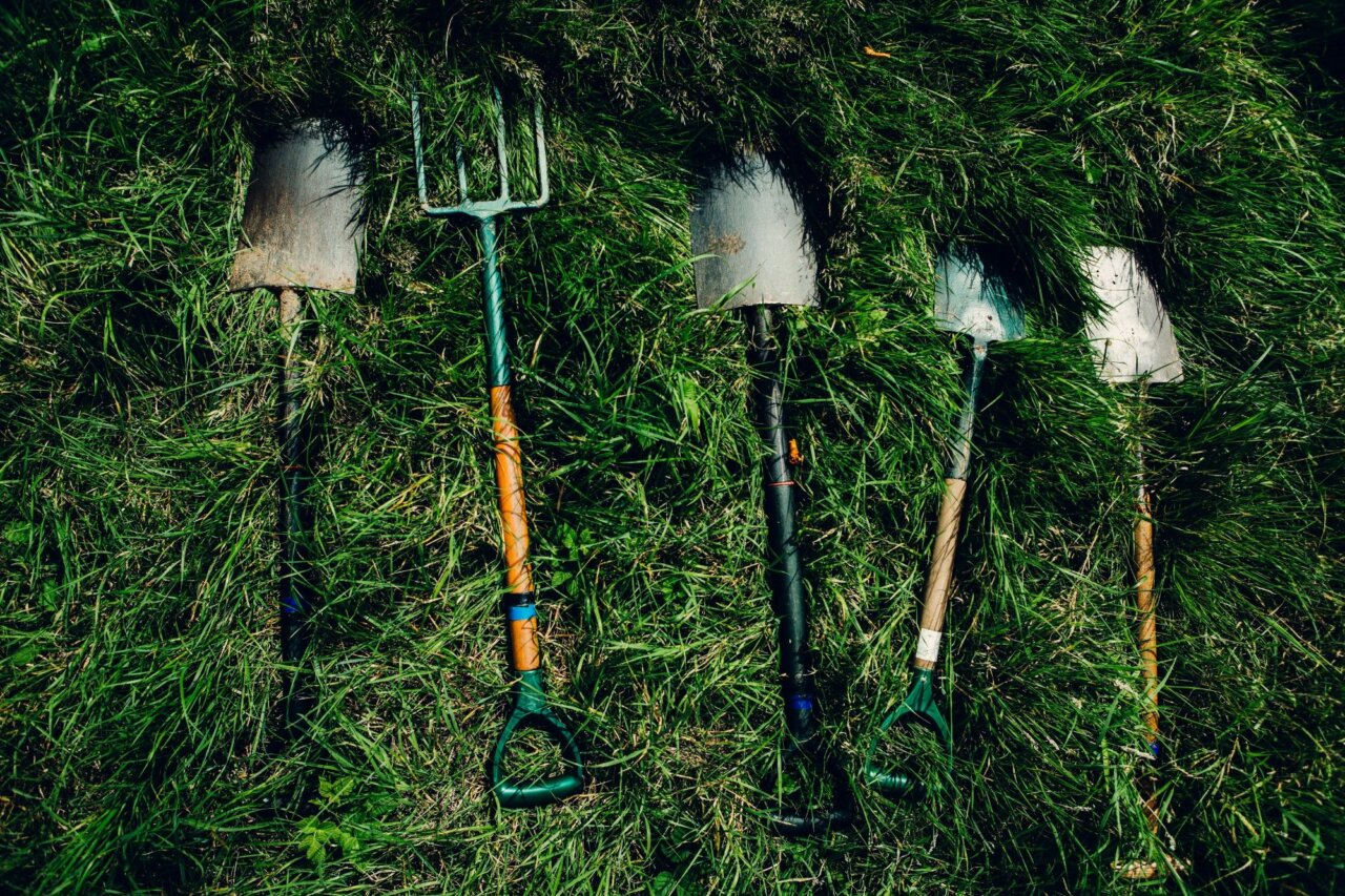 dylan-nolte-dUsmF-F-bJg-unsplash-2.jpg